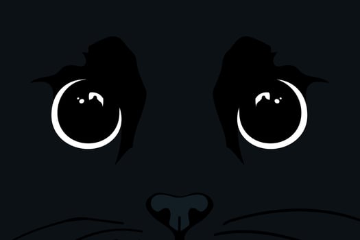 Black cat face close up. Cat face background vector