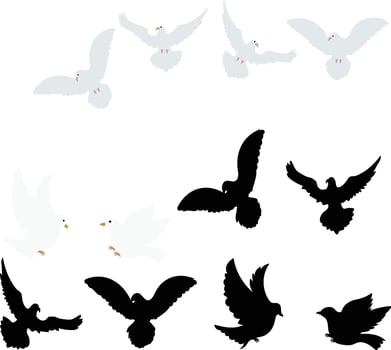 Dove silhouette bird silhouette vector