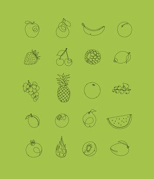 Fruits icons in pen hand drawing lines style on green background vector