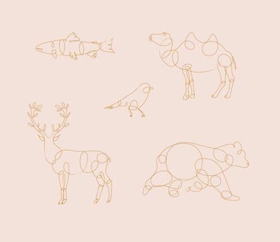 Set of animals fish, camel, bird, deer, bear drawing in pen line style on beige background vector
