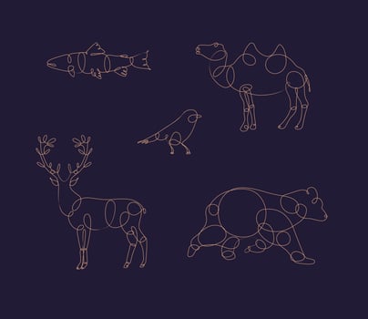 Set of animals fish, camel, bird, deer, bear drawing in pen line style on dark background vector