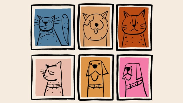 Pictures with funny various pets set. Cute sketch with cats and dogs portraits. Lovely canine and feline animals. vector