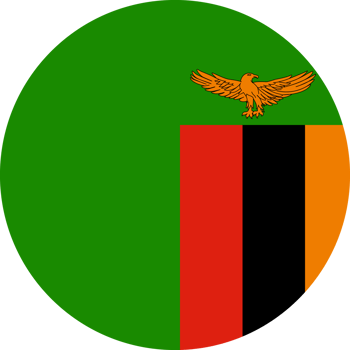 Zambia Flag Round Icon Isolate Element png