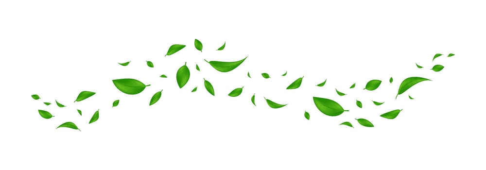 Green flying leaves. Leaf falling llustration . Wave foliage. Realistic leaves illustration vector