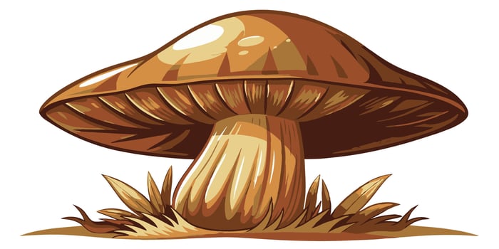 Edible mushroom. Edible mushroom on a white background. illustration vector