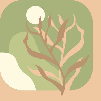 botanical abstract wall art vector