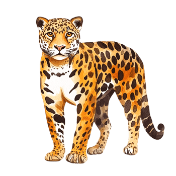 Wildlife clipart Jaguar illustration png