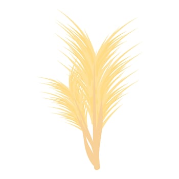 Pampas grass showing long yellow ornamental leaves vector