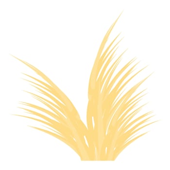 Yellow dry grass bush growing upwards vector