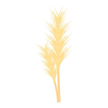 Two wheat stalks standing tall against white background vector