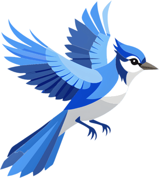 Bright Blue Jay Clipart for Websites. . png