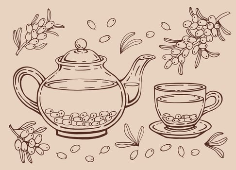 Tea set with glass teapot and cup, sea buckthorn. Hand drawn illustration in outline style. vector