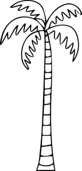 Palm tree coloring pages vector
