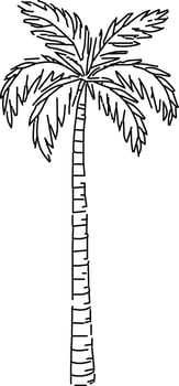 Palm tree coloring pages vector