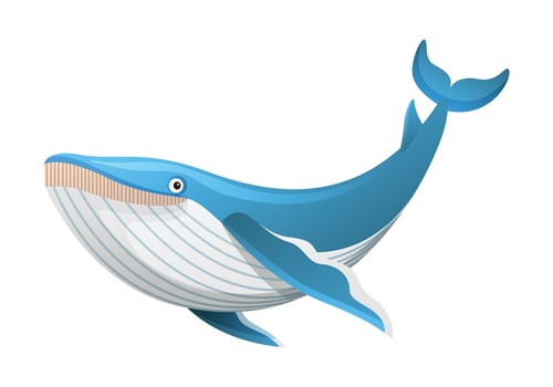 Humpback whale cartoon illustration isolated on white background vector