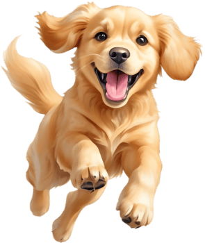 Golden Retriever Clipart for Family Photo Albums. . png