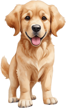 Golden Retriever Clipart for Fun Party Invitations. . png