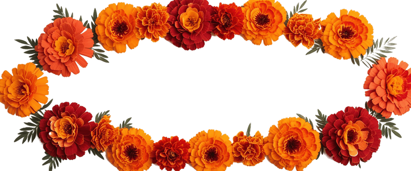 Orange and red marigold flowers for autumn festival or toran Indian traditional Diwali decoration png