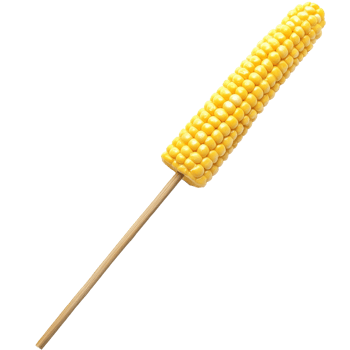 Freshly grilled corn on a wooden stick at a summer fair, transparent png
