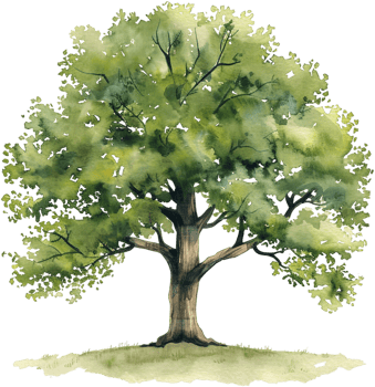 An illustration of a large tree png