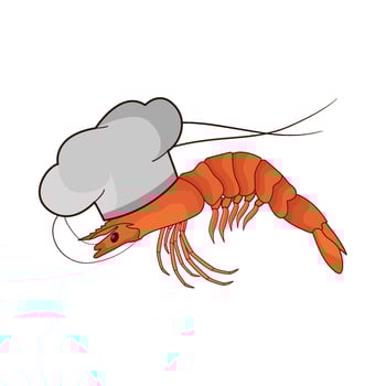 chef shrimp illustration vector