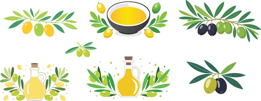 colorful olive illustration vector