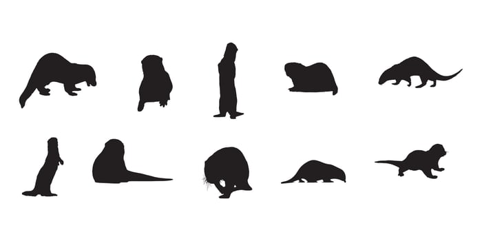 illustrator sea otter silhouette with white background vector