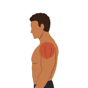 Side view of muscular young man with shoulder muscle parts. vector