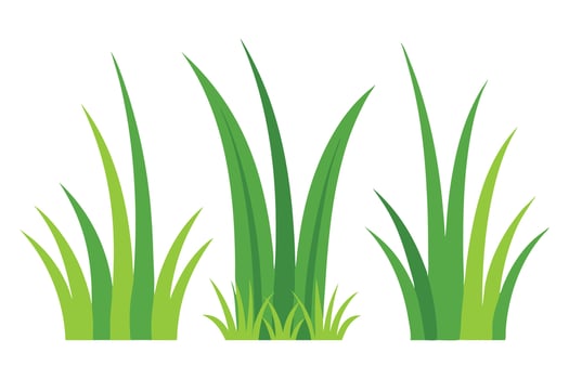 Bermuda grass set isolated flat illustration on white background. vector