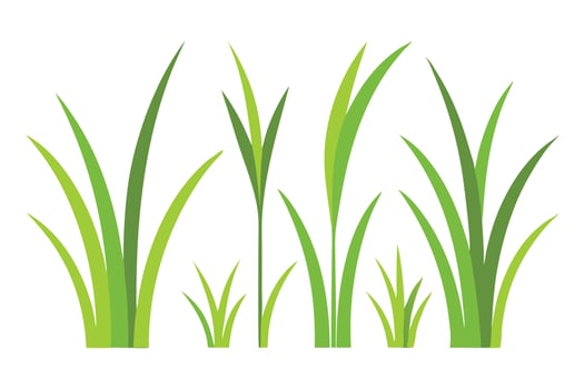 Random shape grass set flat illustration on white background. vector