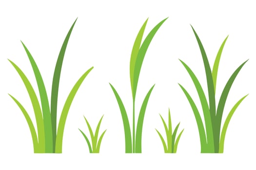 Fine Ryegrass grass set isolated flat illustration on white background. vector