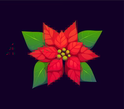 Cartoon Christmas holiday poinsettia flower plant vector