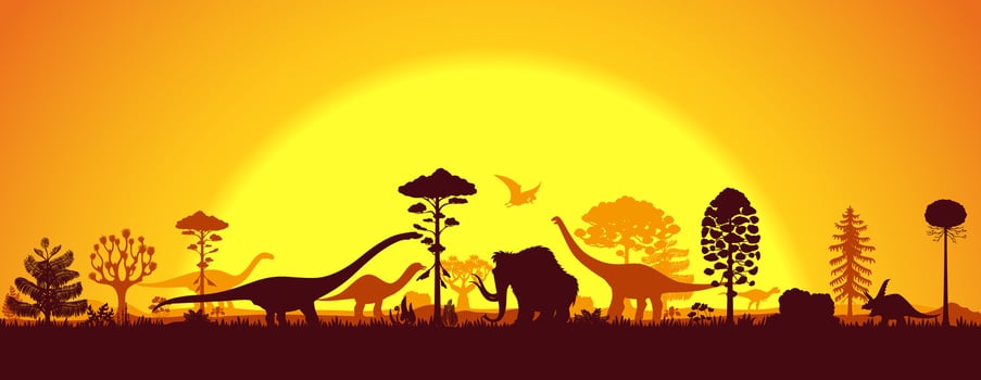 Prehistoric dinosaurs silhouettes sunset landscape vector