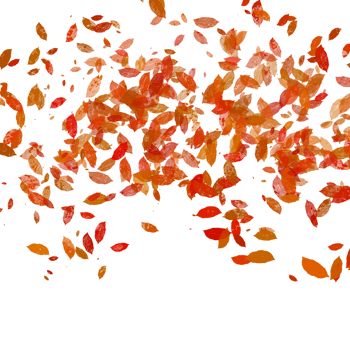 Autumn Leaves Falling Down png