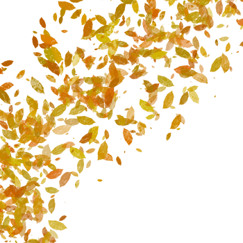 Autumn Leaves Swirling in the Wind png