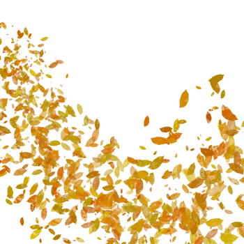 Autumn Leaves Falling in a Corner png