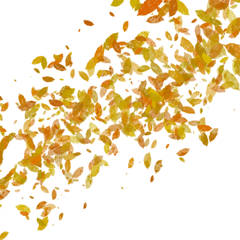 Autumn Leaves Swirling in the Wind Crisp leaves dance in the breeze. png