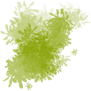Abstract Green Foliage Texture with Floating Leaves png
