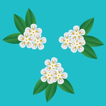 Beautiful colorful flowers with green leaves and white flowers. vector