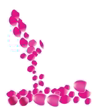 Floating red rose petal isolated on white Background, Background concept for love greetings on valentines day and mothers day. vector