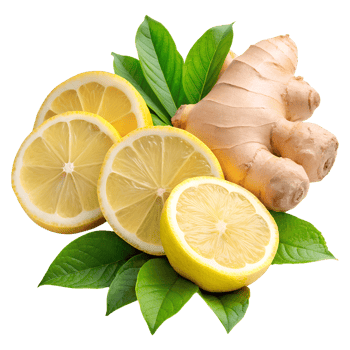 Lemon Slices, Whole Lemon, and Ginger Root on Transparent Background png