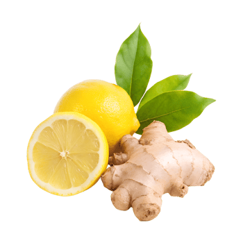 Lemon Wedges, Whole Lemon, and Ginger Root on Clear Background png