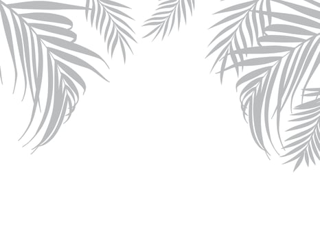 palm leaves background images top leaf vector