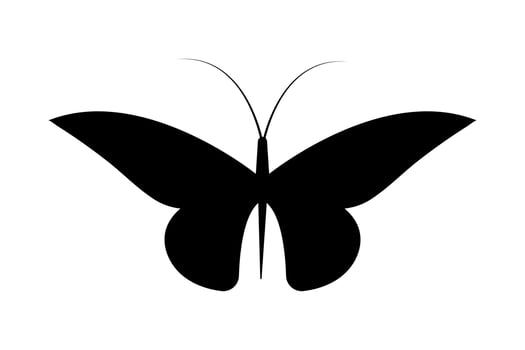 Butterfly silhouette outline art vector