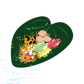 paan containing different banarsi and meetha paan ingredients vector
