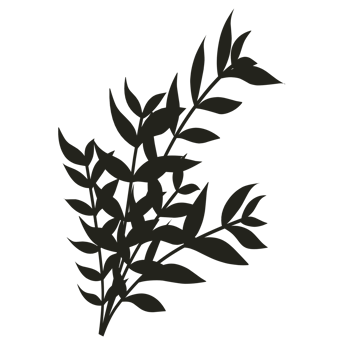Organic leaves silhouette png
