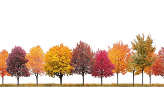 Row of colorful autumn trees. Fall season png