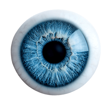 The Blue Eye Gazes Deeply into the Soul, a Transparent Background Reveals Its Intricate Details png