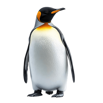 King Penguin Stands Tall with a Transparent Background, a Majestic Creature from the Frozen South png