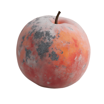 A Moldy Apple with a Transparent Background A Study in Decay png